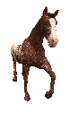 horse-frame10