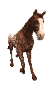 horse-frame2