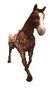 horse-frame5
