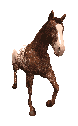 horse-frame9