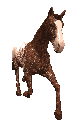 horse, frame 1